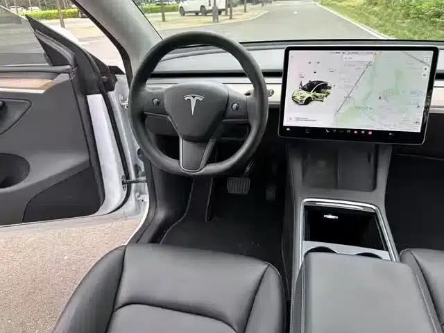 Model Y 2021 Standard Range Rear-Wheel Drive — миниатюра 5