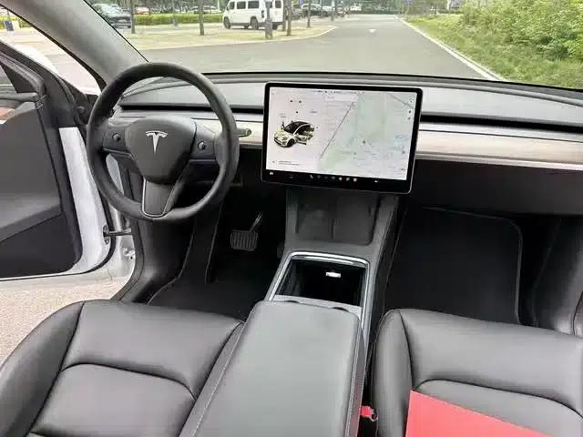 Model Y 2021 Standard Range Rear-Wheel Drive — миниатюра 6