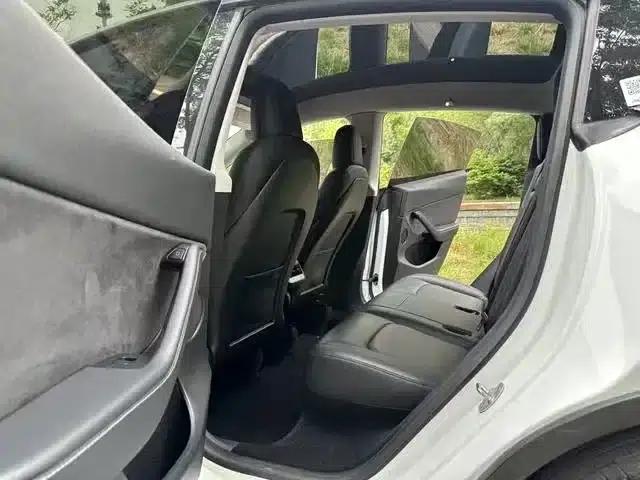 Model Y 2021 Standard Range Rear-Wheel Drive — миниатюра 7