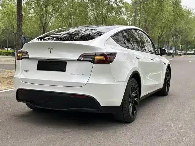 Model Y 2021 Standard Range Rear-Wheel Drive — миниатюра 8