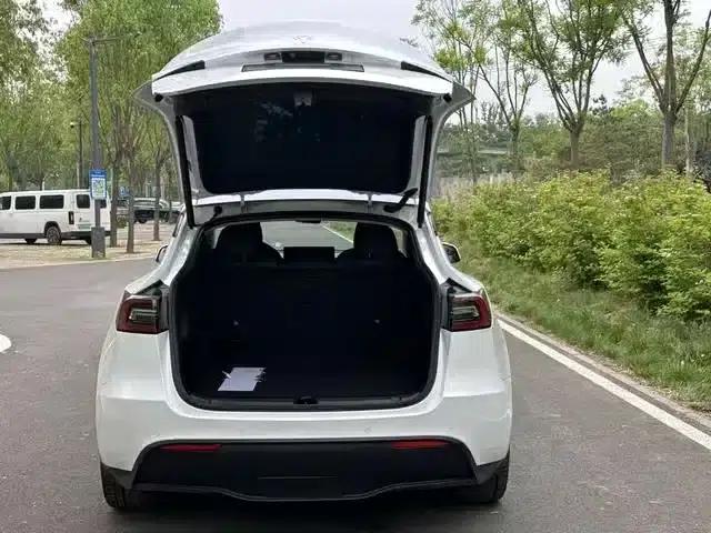 Model Y 2021 Standard Range Rear-Wheel Drive — миниатюра 9