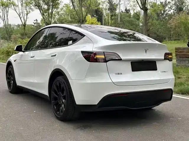 Model Y 2021 Standard Range Rear-Wheel Drive — миниатюра 10