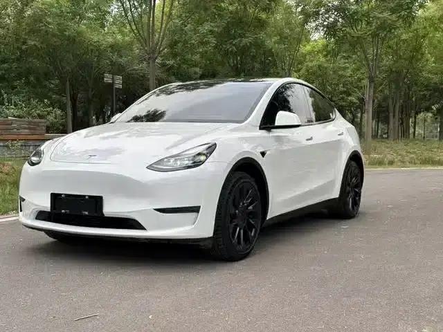 Model Y 2021 Standard Range Rear-Wheel Drive