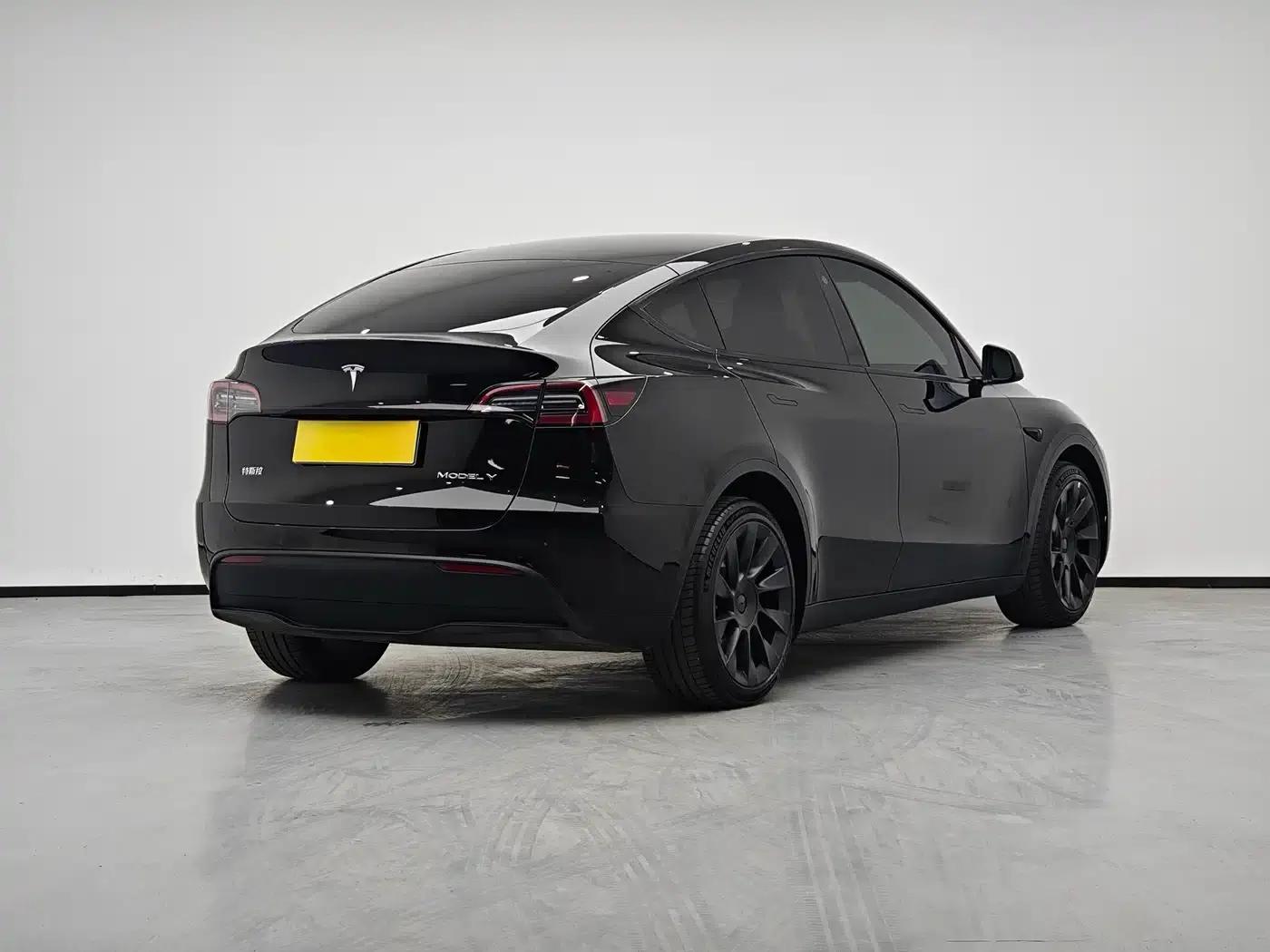 Model Y 2022 Long Range All-Wheel Drive — миниатюра 5