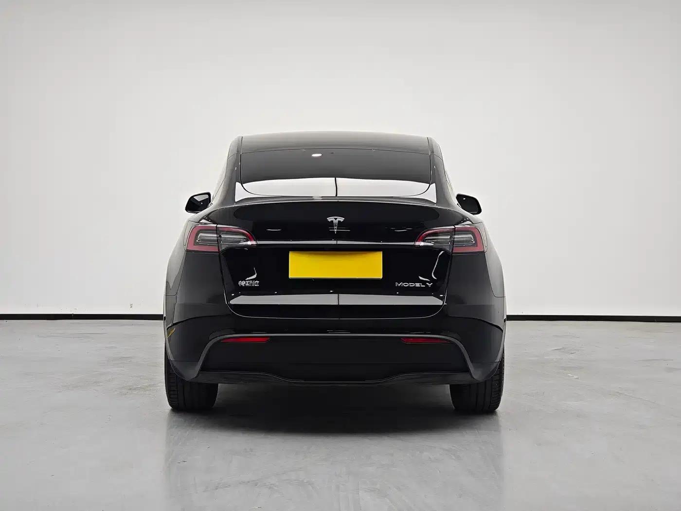 Model Y 2022 Long Range All-Wheel Drive — миниатюра 6