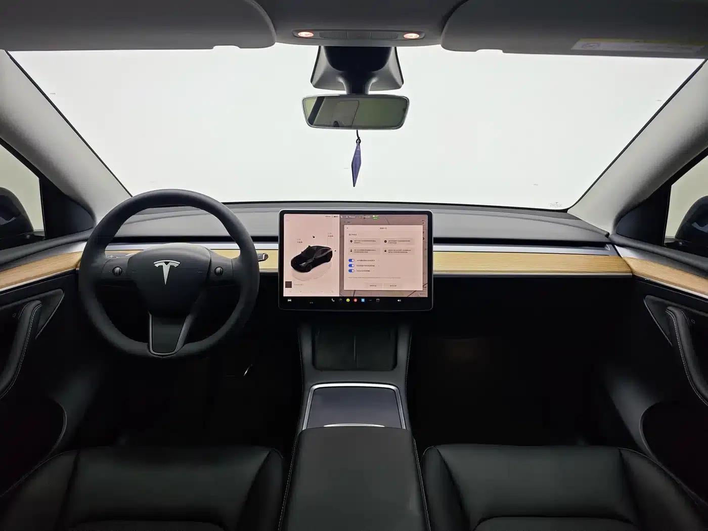 Model Y 2022 Long Range All-Wheel Drive — миниатюра 10
