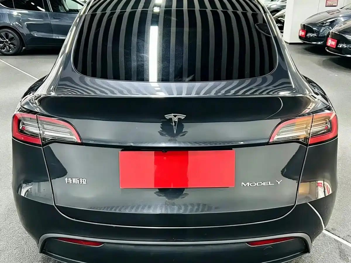 Model Y 2024 Rear-Wheel Drive — миниатюра 5