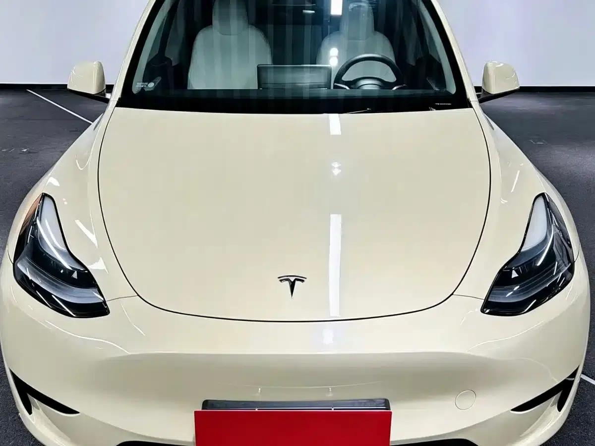 Model Y 2024 Rear-Wheel Drive — миниатюра 2