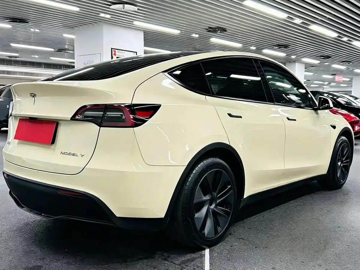 Model Y 2024 Rear-Wheel Drive — миниатюра 4