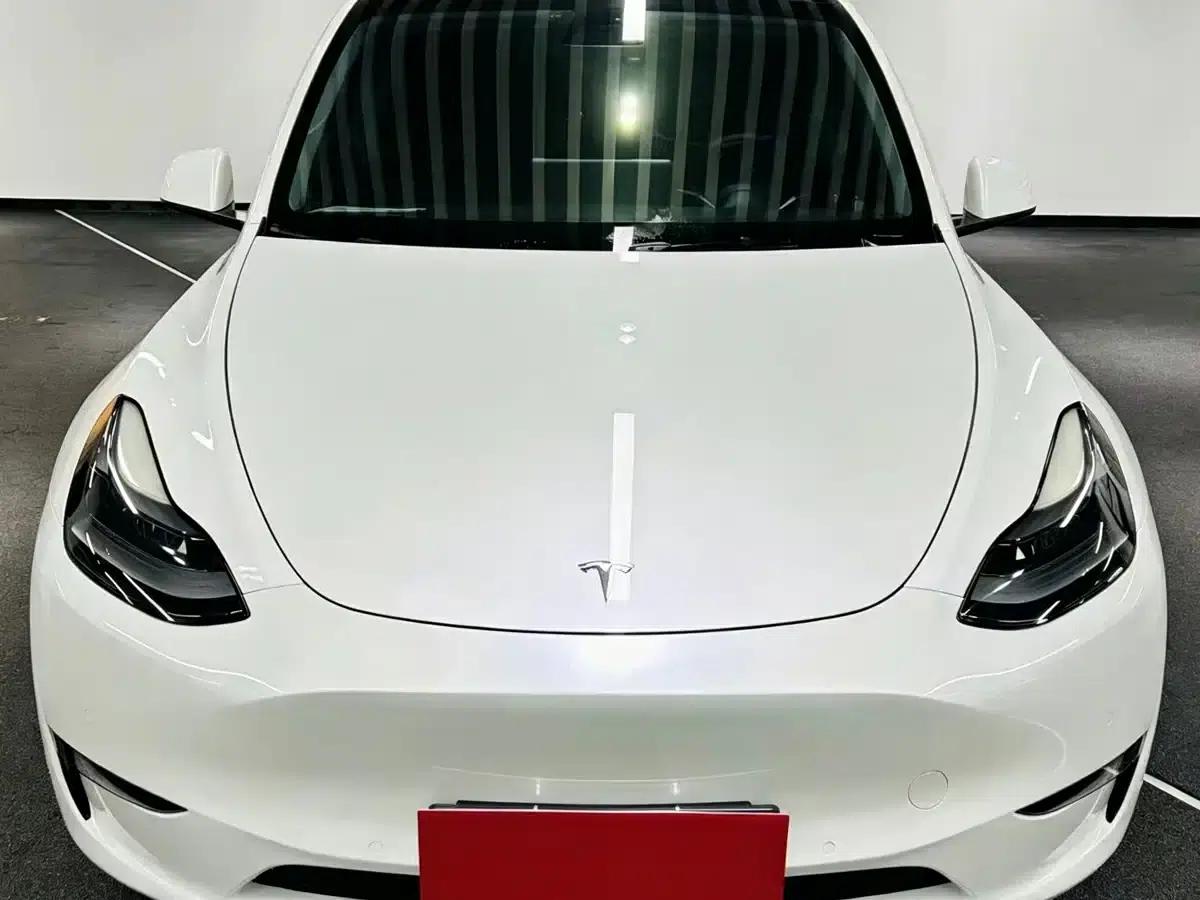 Model Y 2021 Long Range All-Wheel Drive — миниатюра 2