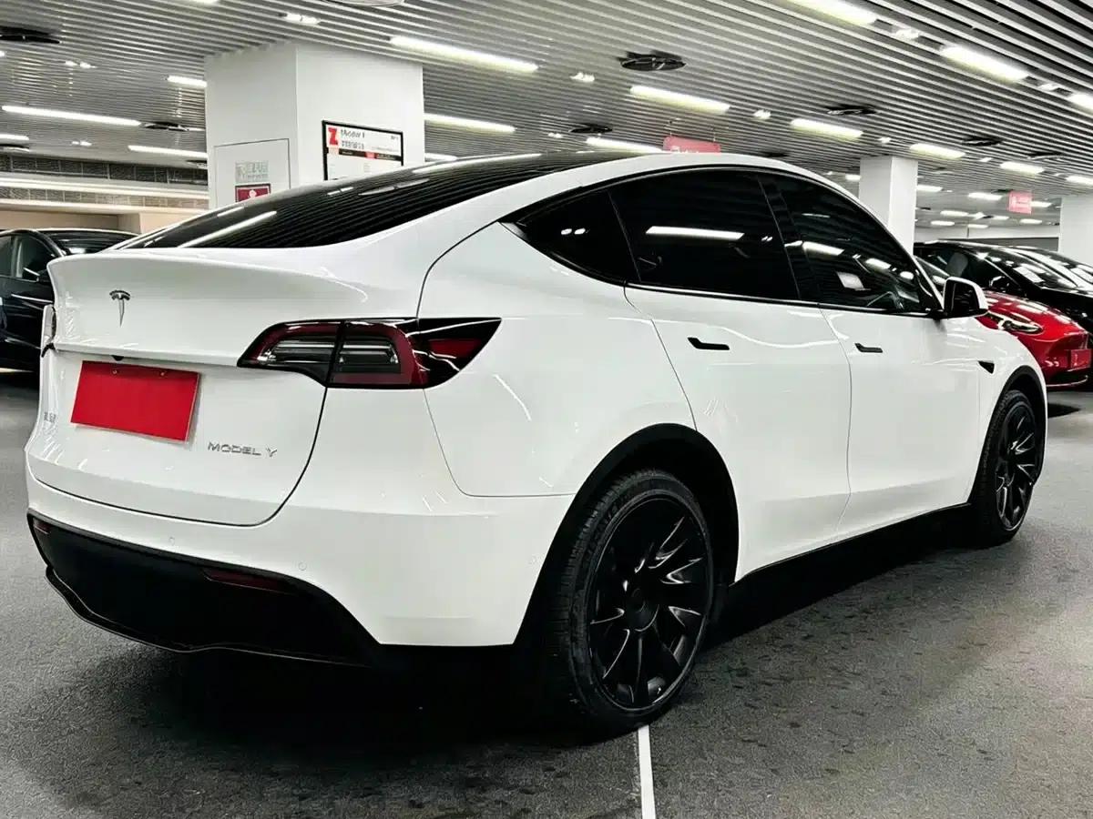 Model Y 2021 Long Range All-Wheel Drive — миниатюра 3