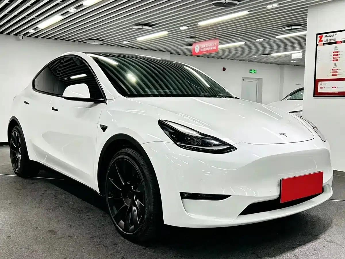 Model Y 2021 Long Range All-Wheel Drive — миниатюра 4