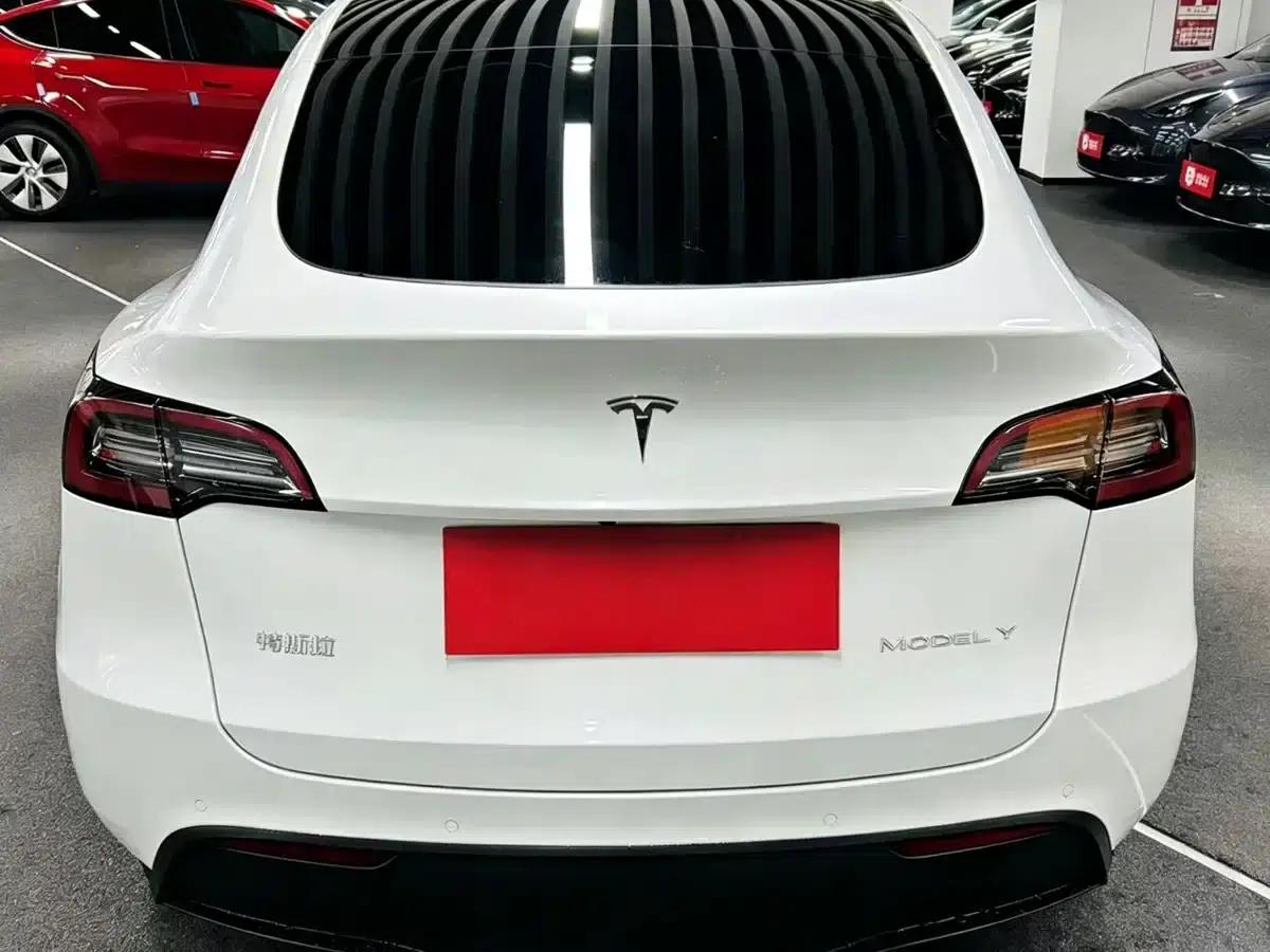 Model Y 2021 Long Range All-Wheel Drive — миниатюра 5