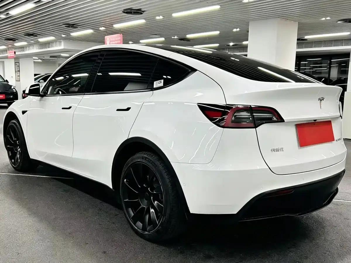 Model Y 2021 Long Range All-Wheel Drive — миниатюра 6
