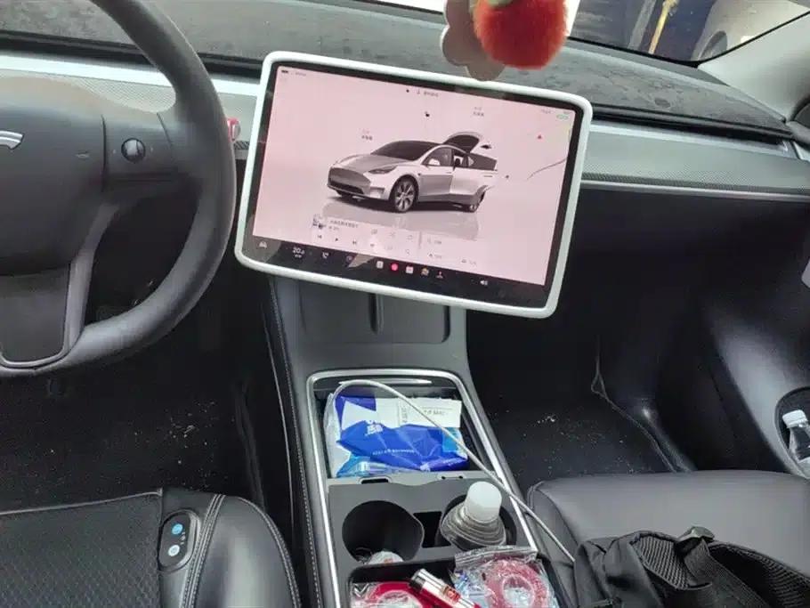 Model Y 2022 Rear-Wheel Drive — миниатюра 16