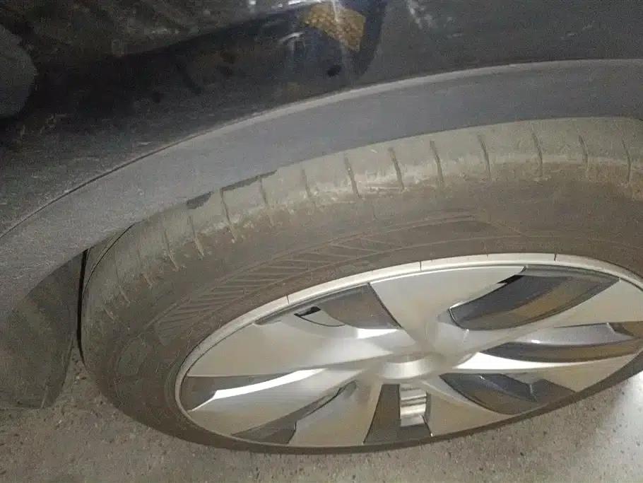 Model Y 2021 Standard Range Rear-Wheel Drive — миниатюра 6