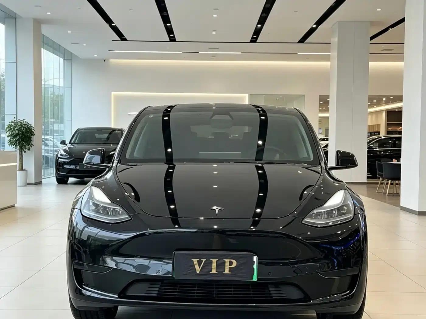 Model Y 2023 Rear-Wheel Drive — миниатюра 2