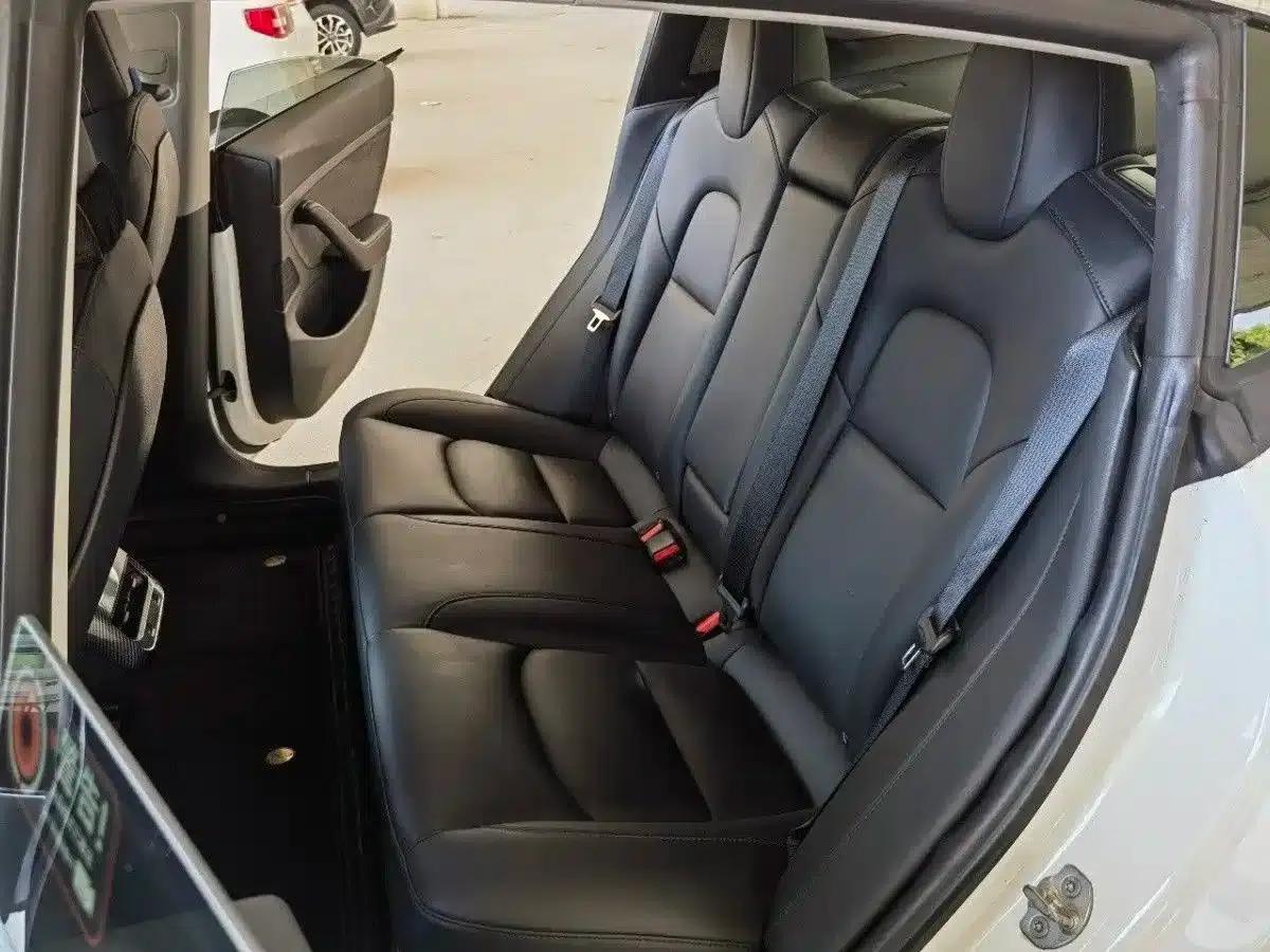 Model 3 2020 Facelift Standard Range Rear-Wheel Drive Upgrade — миниатюра 8