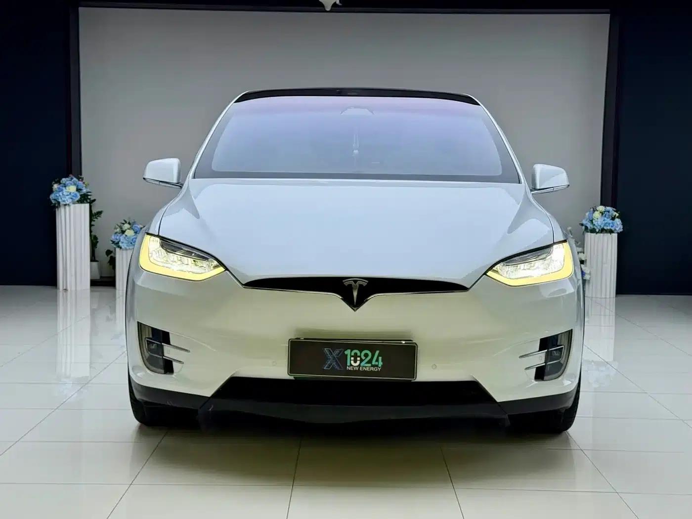 Model X 2019 Long Range — миниатюра 2