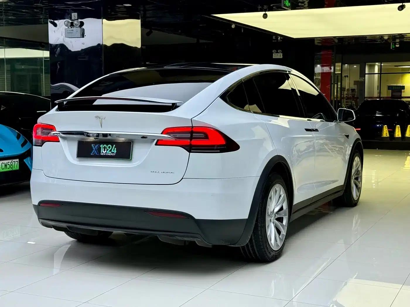Model X 2019 Long Range — миниатюра 13