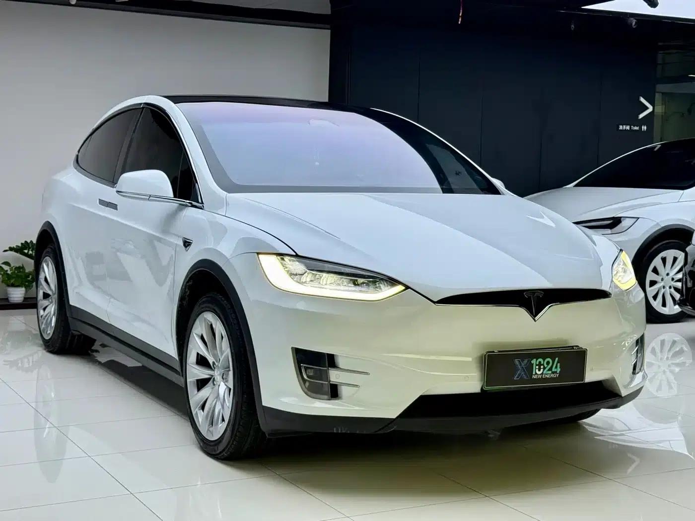 Model X 2019 Long Range — миниатюра 3