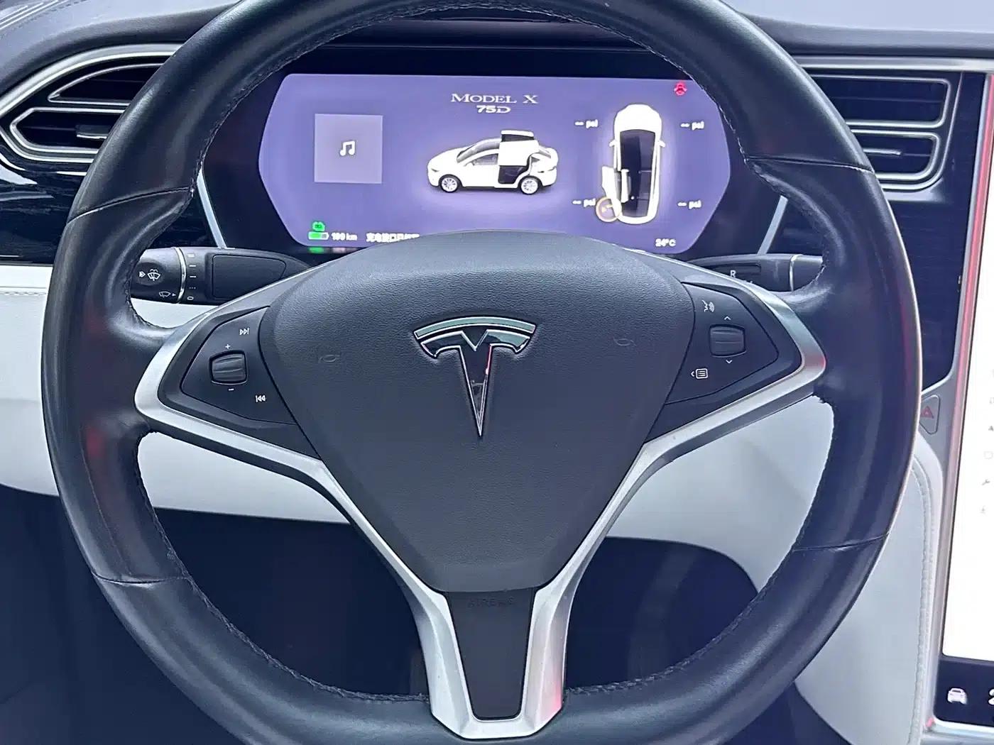 2016 Model X 75D — миниатюра 13