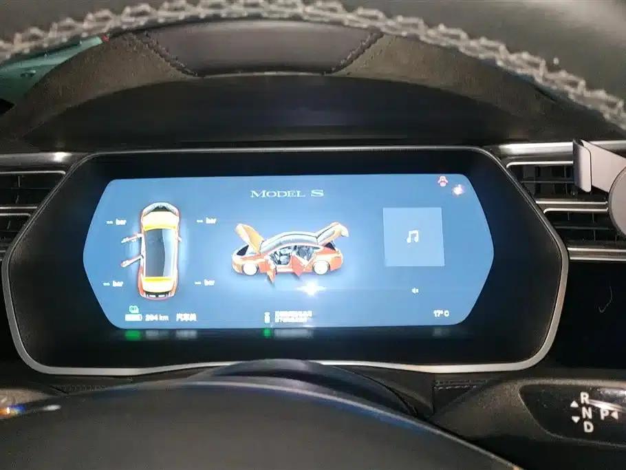 2016 Model S 60 — миниатюра 14
