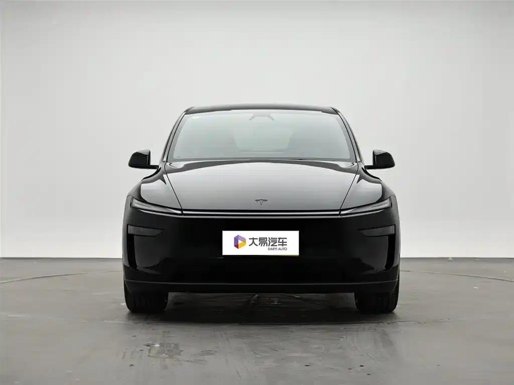 Model Y L 2025 Long Range All-Wheel Drive — миниатюра 2