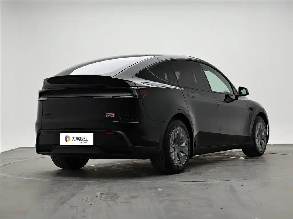Model Y L 2025 Long Range All-Wheel Drive — миниатюра 3