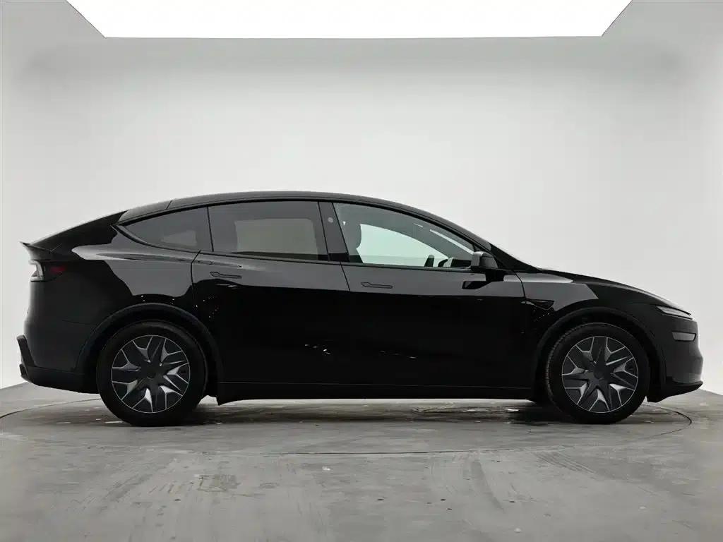 Model Y L 2025 Long Range All-Wheel Drive — миниатюра 5