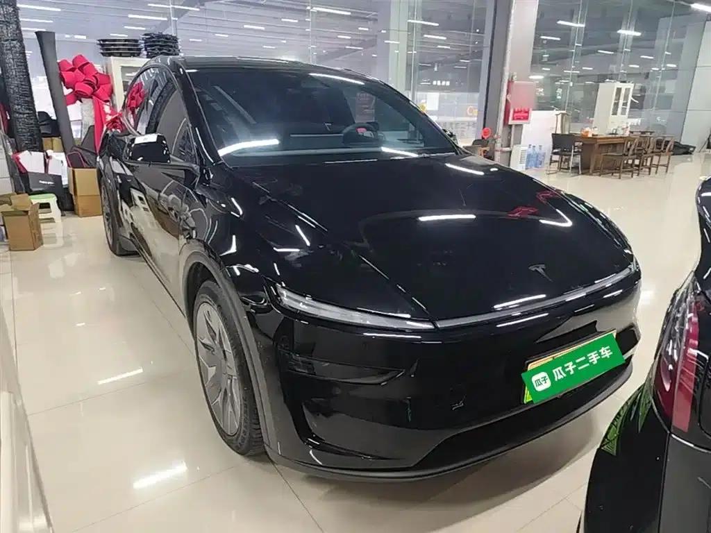 Model Y L 2025 Long Range All-Wheel Drive — миниатюра 4