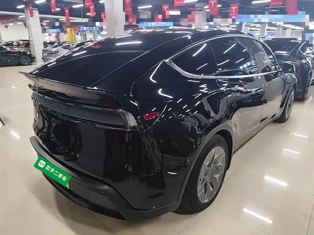 Model Y L 2025 Long Range All-Wheel Drive — миниатюра 7