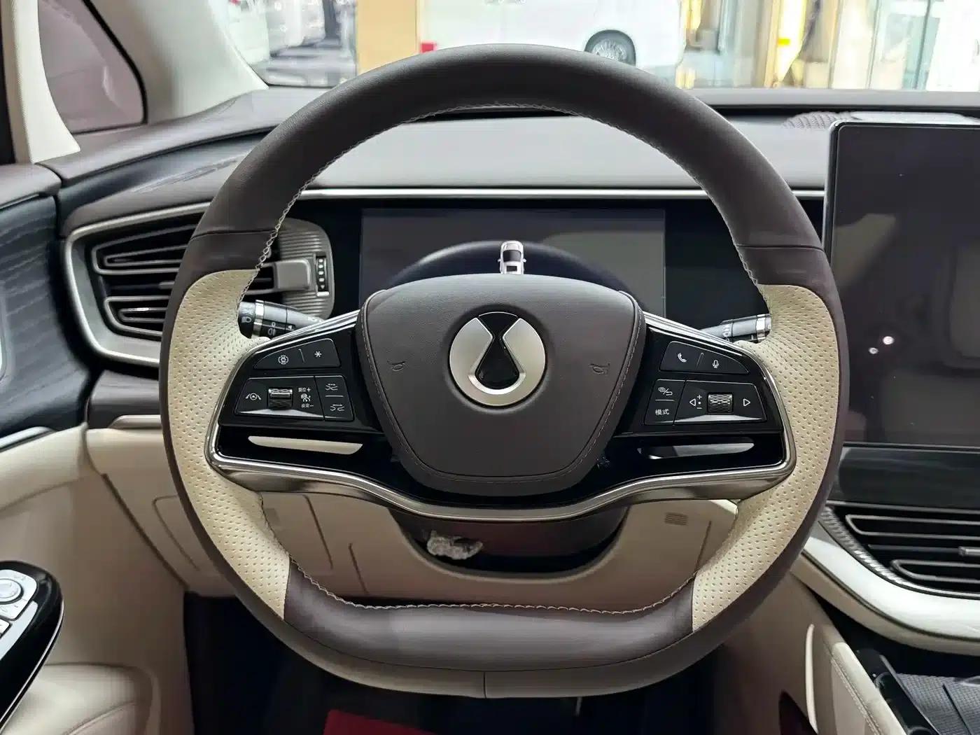 Denza D9 2024 DM-i 980 4WD Premium Edition — миниатюра 13