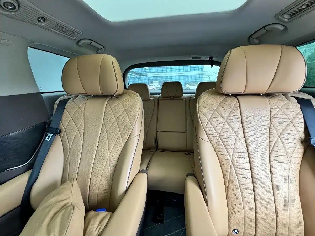 Denza D9 2022 DM-i 1040 Premium — миниатюра 19