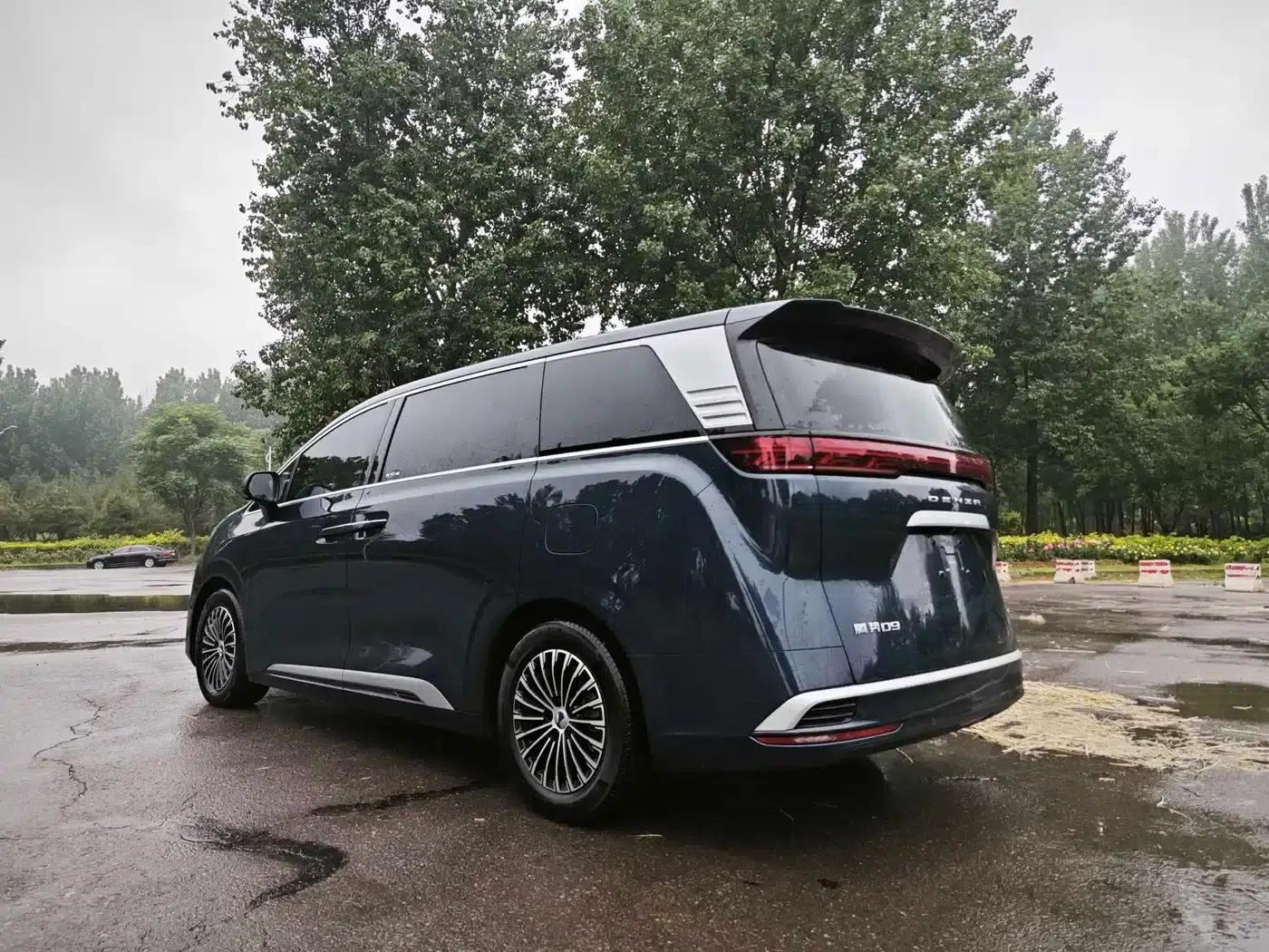 Denza D9 2022 DM-i 1040 Premium — миниатюра 7