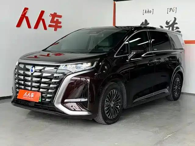 Denza D9 2024 DM-i 980 4WD Premium Edition
