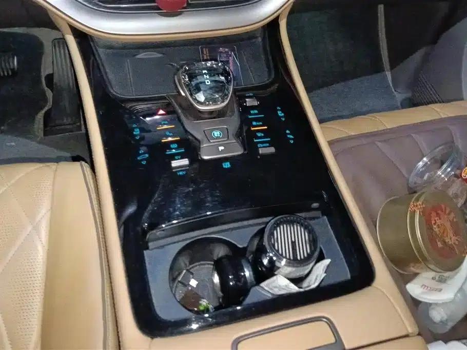 Denza D9 2022 DM-i 970 4WD Premium Edition — миниатюра 16