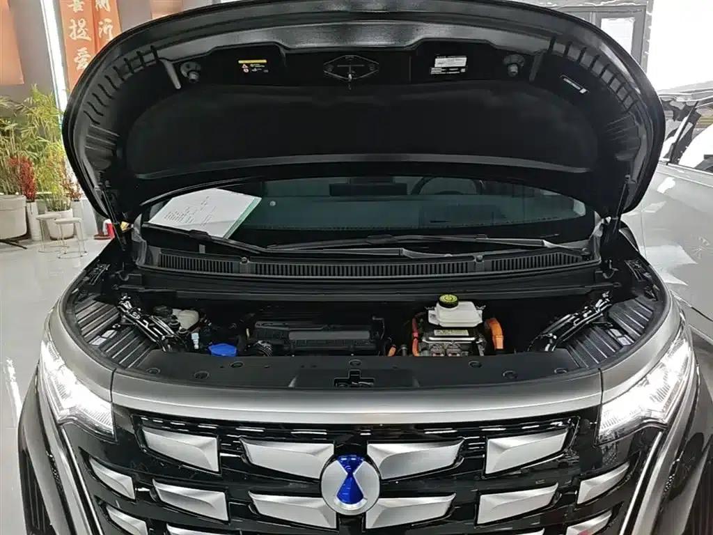 Denza D9 2024 DM-i 980 4WD Premium Edition — миниатюра 20