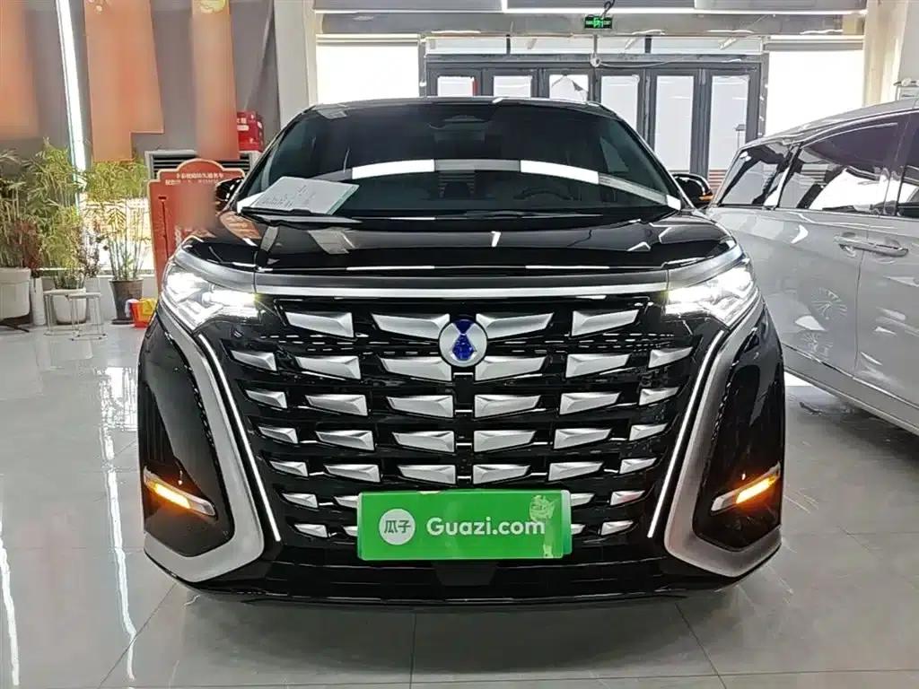 Denza D9 2024 DM-i 980 4WD Premium Edition — миниатюра 3