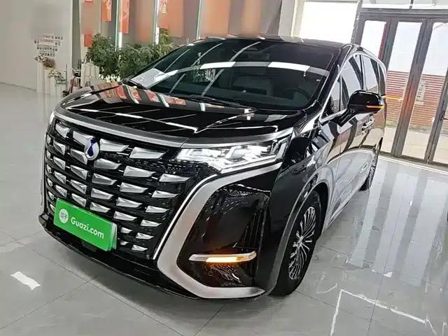 Denza D9 2024 DM-i 980 4WD Premium Edition