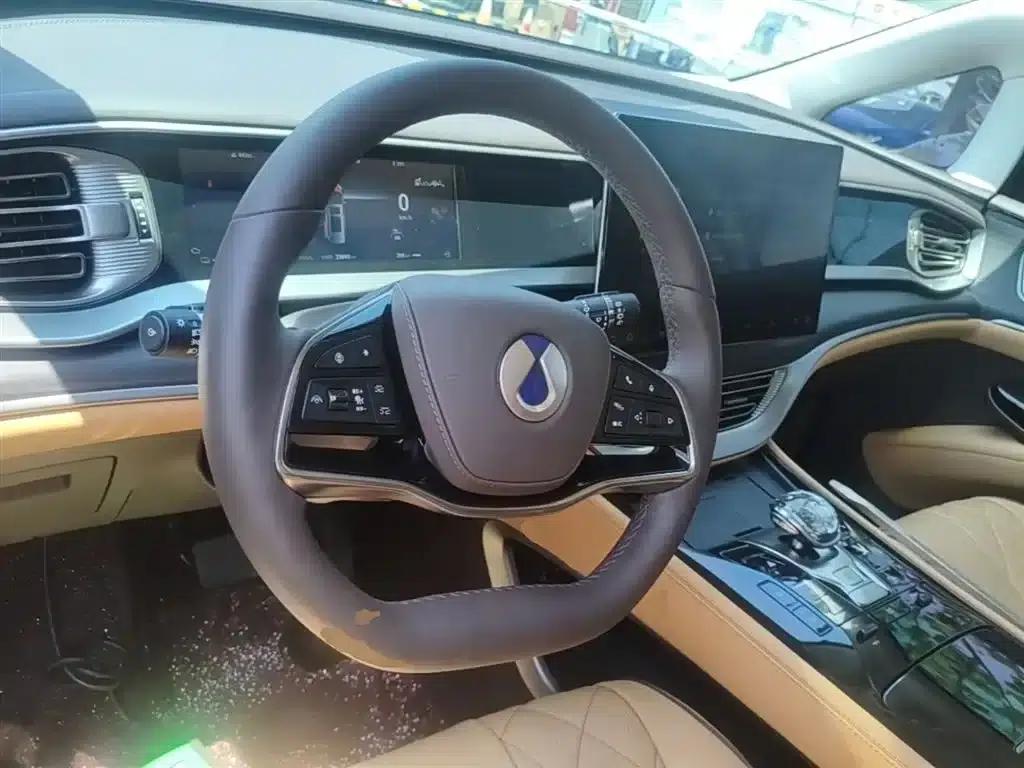 Denza D9 2024 DM-i 980 4WD Premium Edition — миниатюра 11