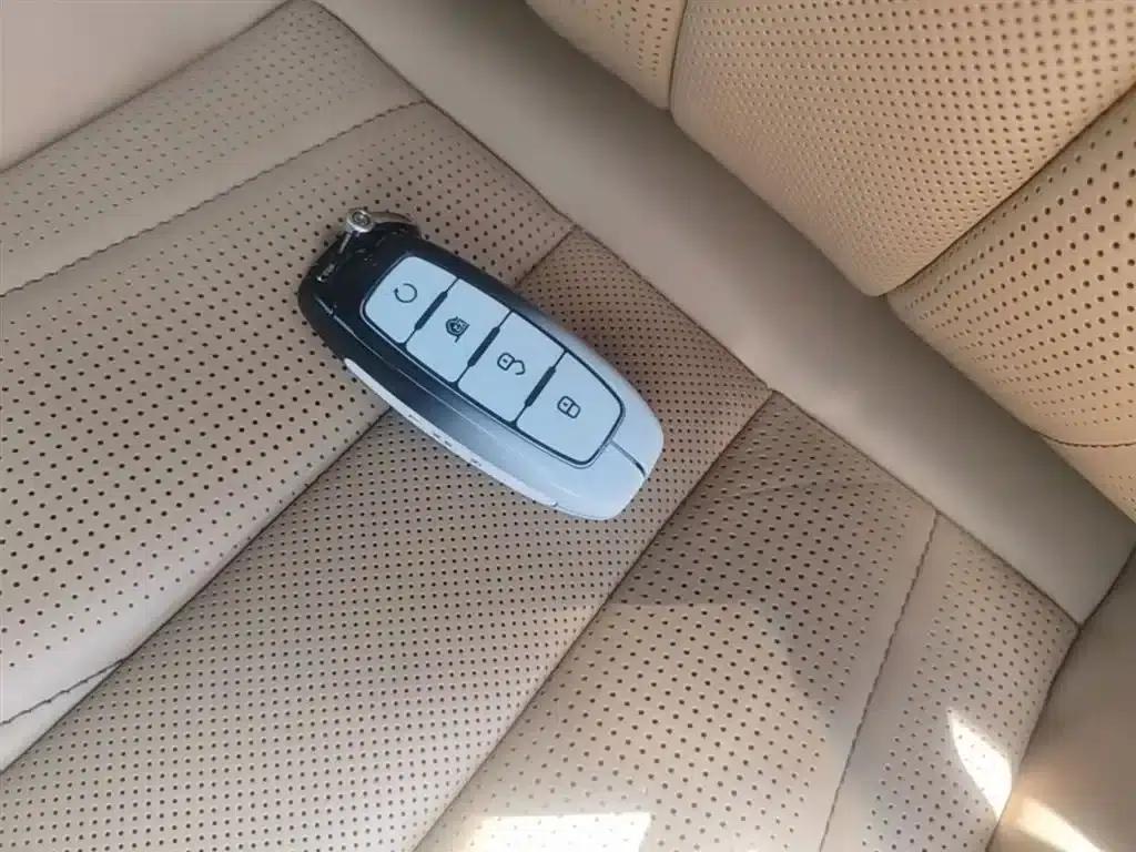 Denza D9 2024 DM-i 980 4WD Premium Edition — миниатюра 9
