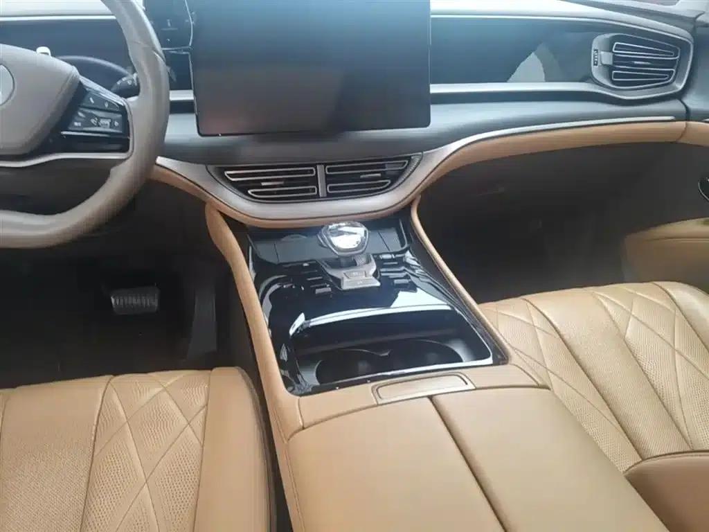 Denza D9 2022 DM-i 970 4WD Premium Edition — миниатюра 14