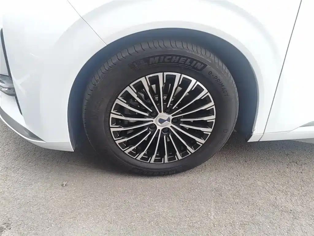 Denza D9 2022 DM-i 970 4WD Premium Edition — миниатюра 23