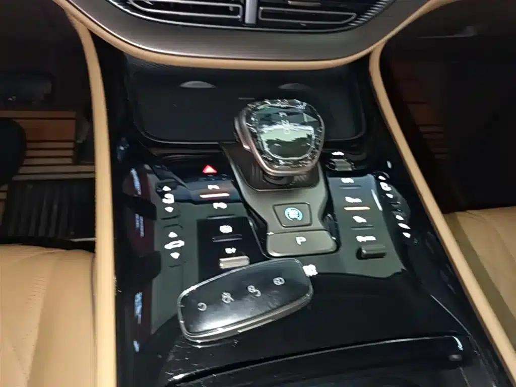 Denza D9 2024 DM-i 980 4WD Premium Edition — миниатюра 14