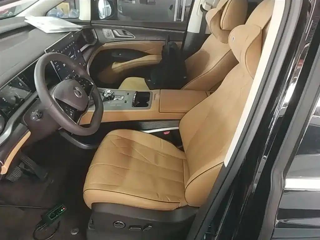 Denza D9 2024 DM-i 1050 Premium Edition — миниатюра 15