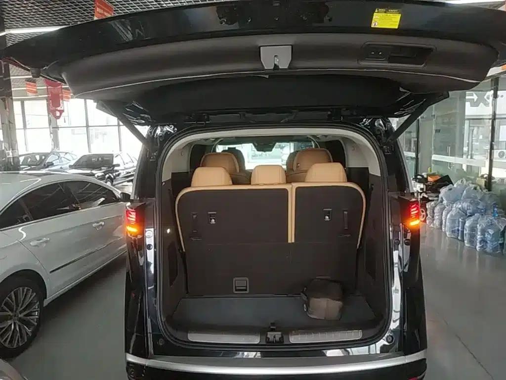 Denza D9 2024 DM-i 1050 Premium Edition — миниатюра 19