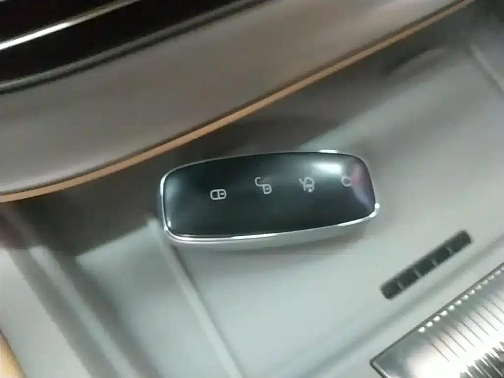 Denza D9 2024 DM-i 1050 Premium Edition — миниатюра 9