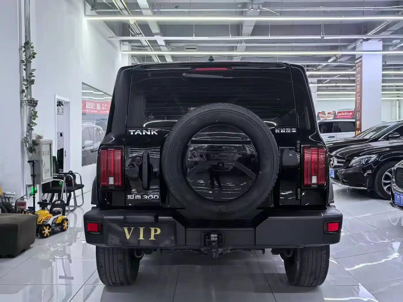 Tank 300 2021 Off-Road Edition 2.0T Conqueror — миниатюра 5