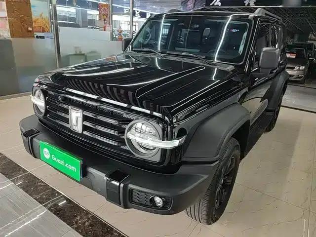 Tank 300 2025 Model 2.0T Gasoline Conqueror